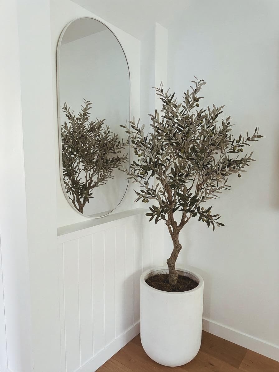 Entry nook with arched mirror and potted olive tree against VJ panelling, 64 Botany St